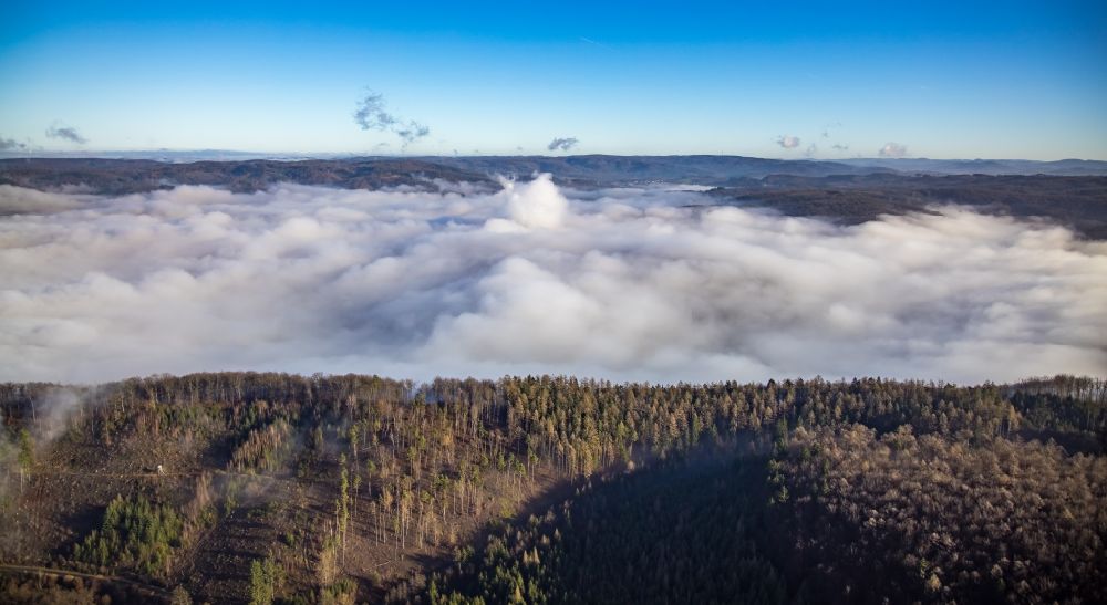 Arnsberg from the bird's eye view: Weather related fog banks and cloud layer above the wooded area in the district Wennigloh in Arnsberg at Ruhrgebiet in the state North Rhine-Westphalia, Germany