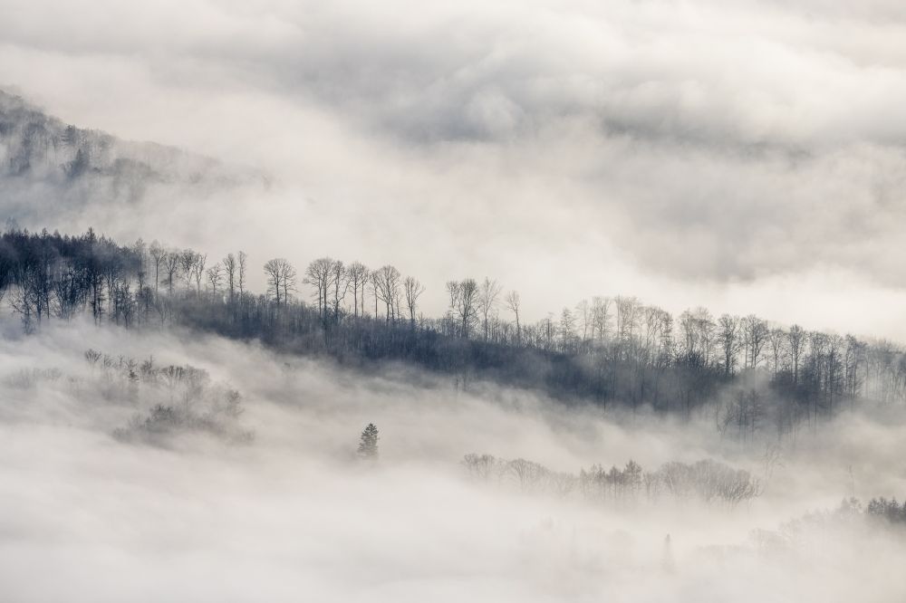 Arnsberg from the bird's eye view: Weather related fog banks and cloud layer in the forest area of the Wildwald Vosswinkel in Arnsberg at Ruhrgebiet in the state North Rhine-Westphalia, Germany