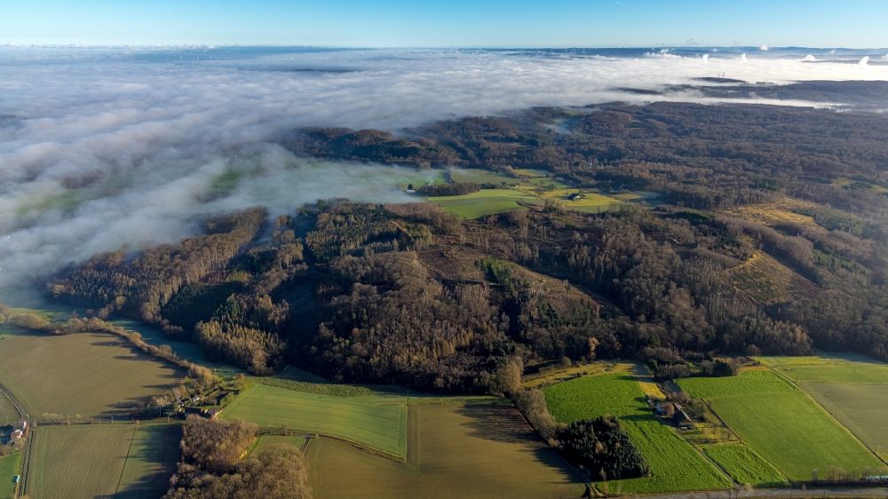 Aerial image Arnsberg - Weather related fog banks and cloud layer in the forest area of the Wildwald Vosswinkel along the Niederoesbern in Arnsberg at Ruhrgebiet in the state North Rhine-Westphalia, Germany