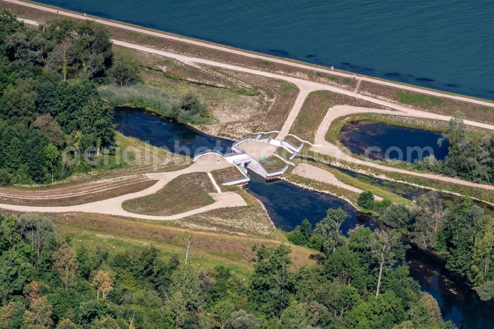 Aerial image Kappel - New construction of a flood - retention basin and protective dam construction on Oberrhein in Kappel in the state Baden-Wuerttemberg, Germany