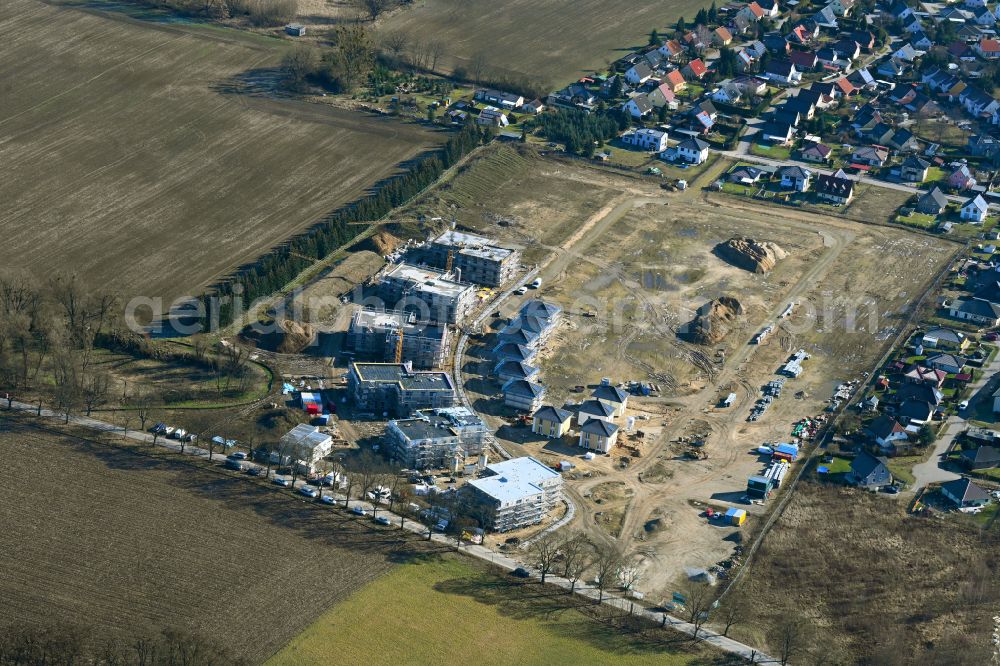 Biesenthal from above - Construction site to build a new multi-family residential complex Naturquartier in Biesenthal in the state Brandenburg, Germany