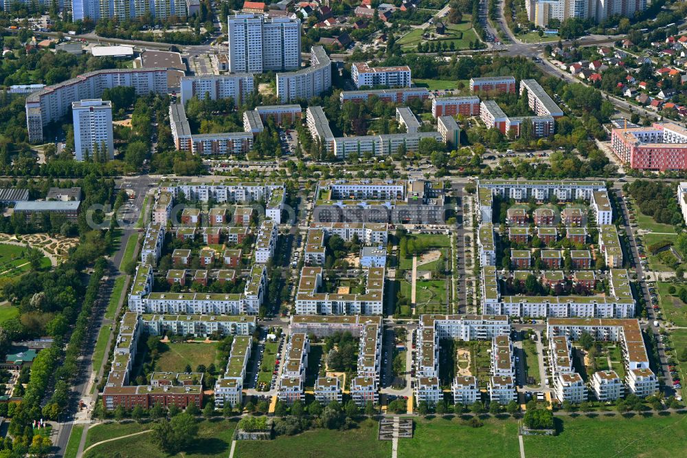 Berlin from above - New multi-family residential complex between Hasenholzer Allee and the Wiesenpark in the district Marzahn in Berlin