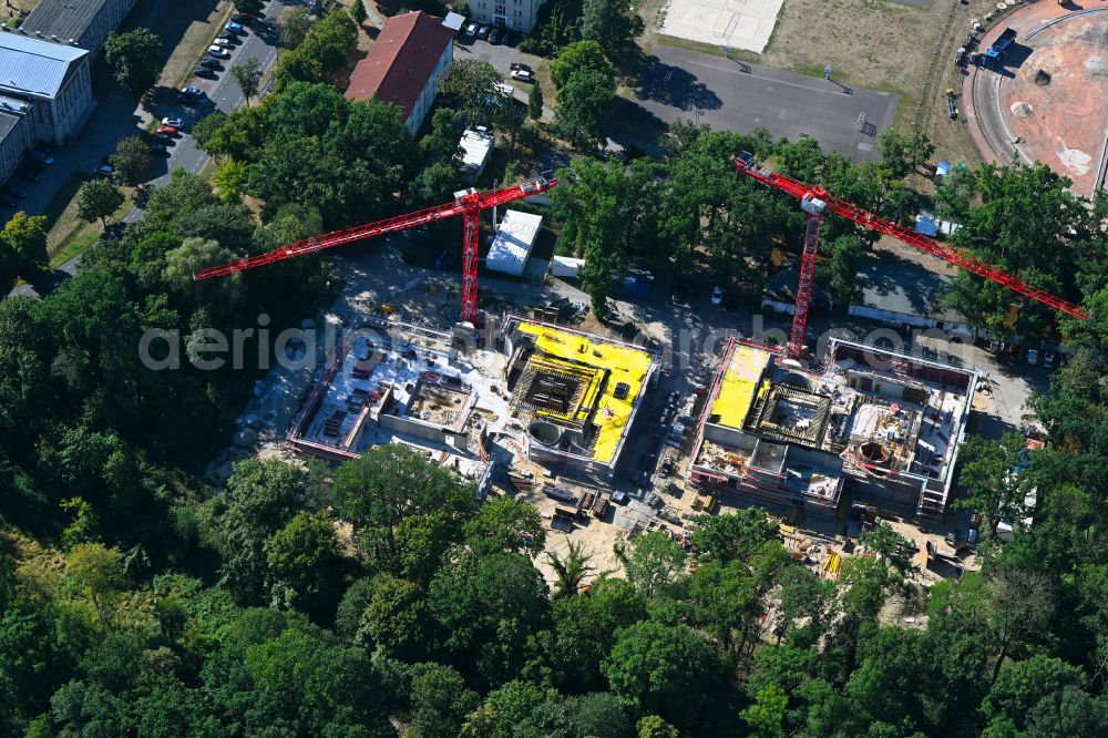 Potsdam from the bird's eye view: Complementary new construction site on the campus-university building complex Philosophische Fakultaet with Rechenzentrum in the district Eiche in Potsdam in the state Brandenburg, Germany