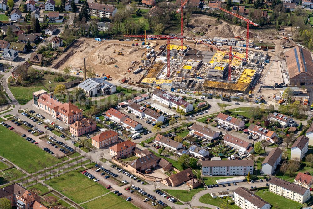 Achern from the bird's eye view: New construction of the company administration building IT Campus Powercloud Auf den Illenauwiesen on Illenauer Strasse in the district Oberachern in Achern in the state Baden-Wuerttemberg, Germany
