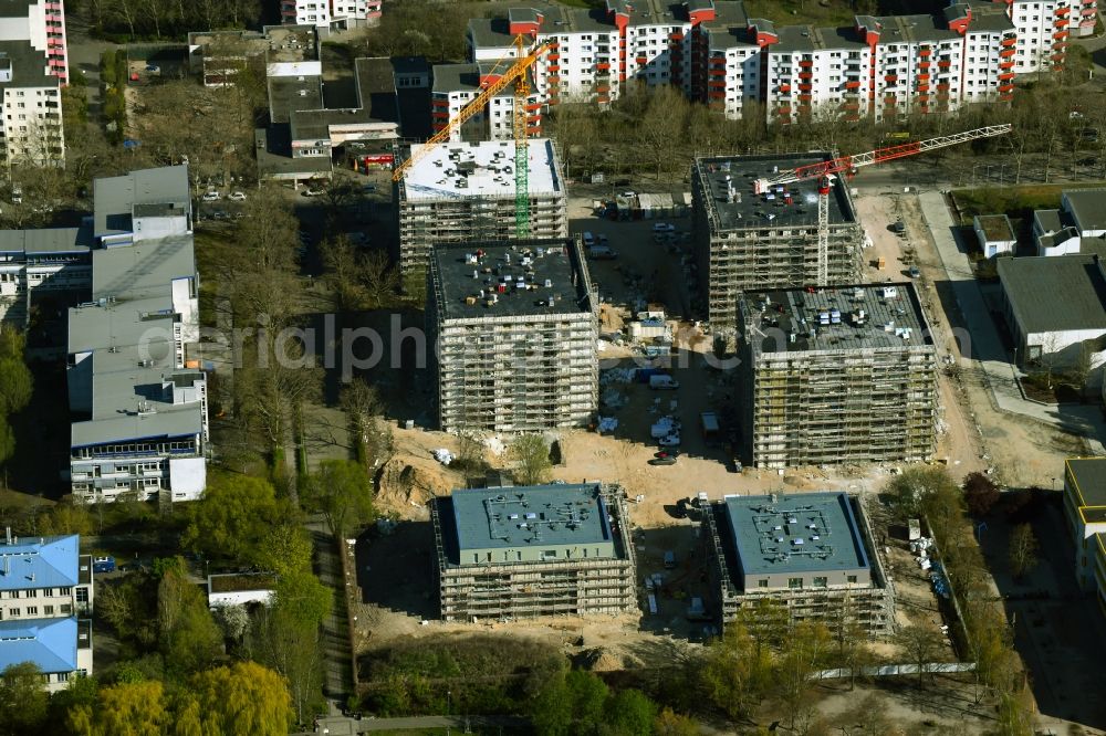Aerial image Berlin - Building-ensemble-construction for the construction of a new city quarter Theodor Quartier on Senftenberger Ring in the district Maerkisches Viertel in Berlin, Germany
