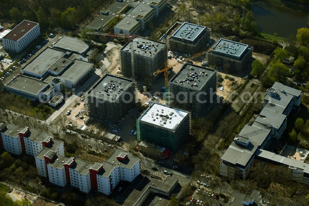 Berlin from above - Building-ensemble-construction for the construction of a new city quarter Theodor Quartier on Senftenberger Ring in the district Maerkisches Viertel in Berlin, Germany
