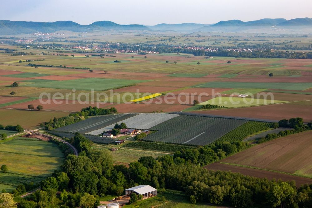 Aerial image Winden - Fruit cultivation plantation of Obst- and Spagelhof Gensheimer in Winden in the state Rhineland-Palatinate, Germany