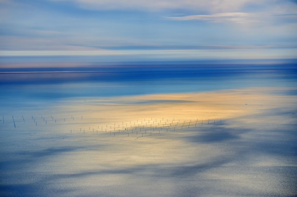 Aerial photograph Norddorf - Wind turbines of the offshore wind farm Offshore-Windpark Amrumbank West on the water surface of North Sea in Norddorf Amrum in the state Schleswig-Holstein, Germany