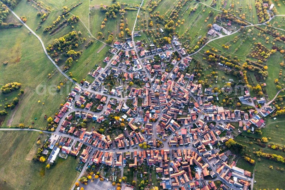 Aerial image Büchelberg - Town View of the streets and houses of the residential areas in Buechelberg in the state Rhineland-Palatinate, Germany