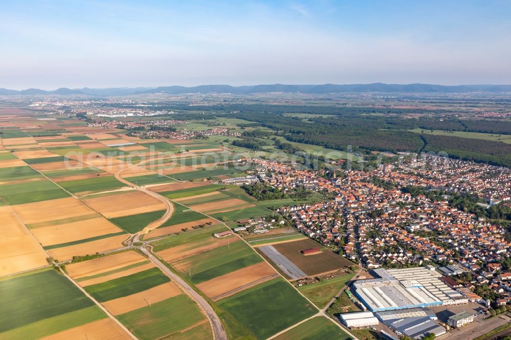 Aerial photograph Bellheim - Town View of the streets and houses of the residential areas in Bellheim in the state Rhineland-Palatinate