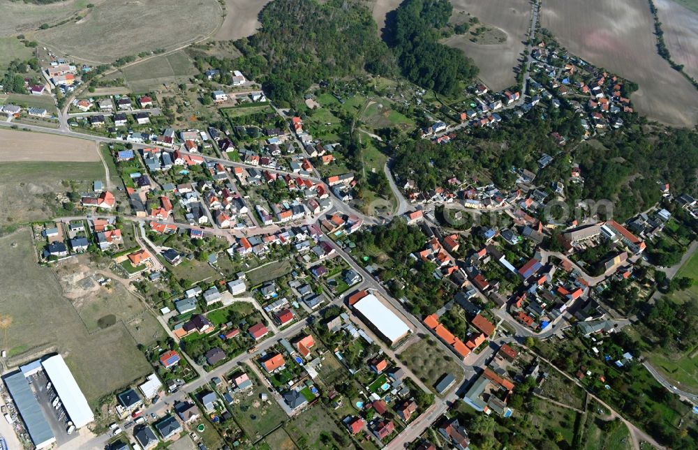 Aerial photograph Brachwitz - Town View of the streets and houses of the residential areas in Brachwitz in the state Saxony-Anhalt, Germany