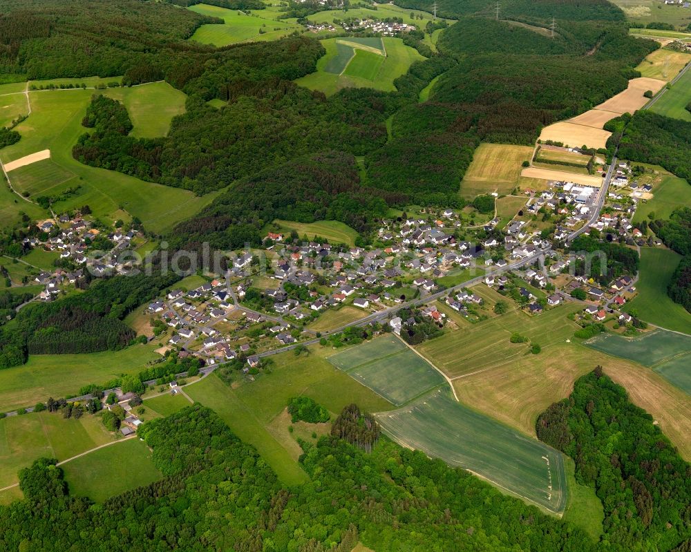 Aerial photograph Bruchertseifen - View of Wildenburg in the state of Rhineland-Palatinate. It is surrounded by fields and wooded areas