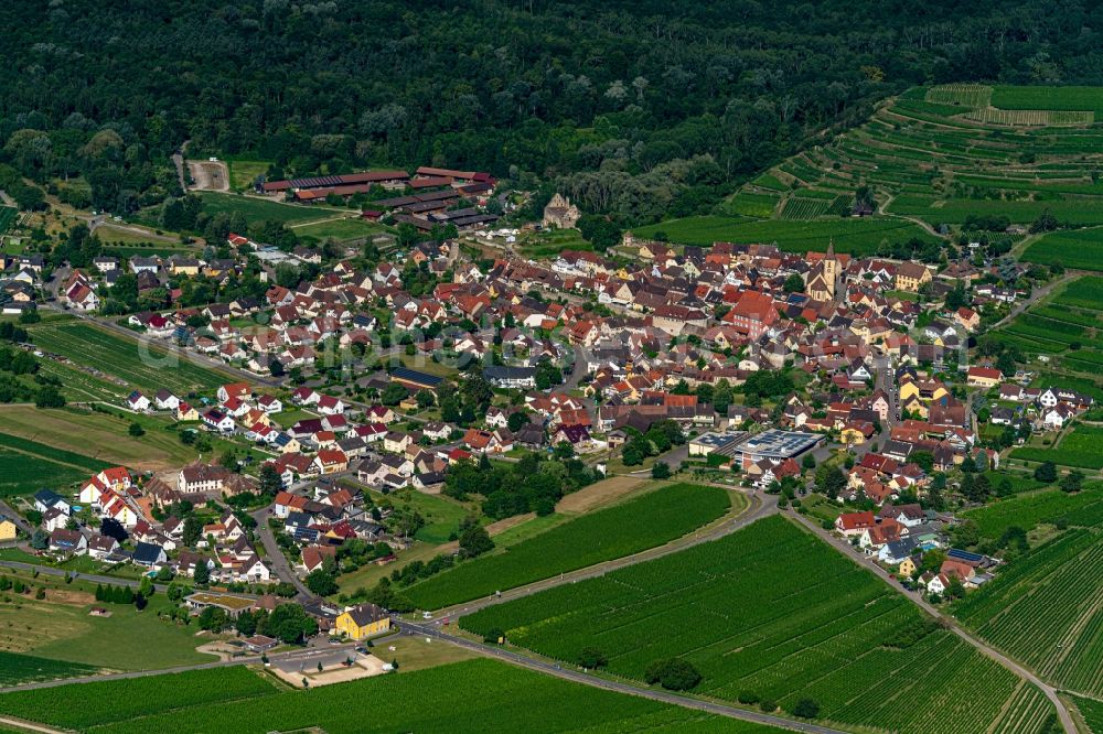 Burkheim from the bird's eye view: Town View of the streets and houses of the residential areas in Burkheim in the state Baden-Wurttemberg, Germany