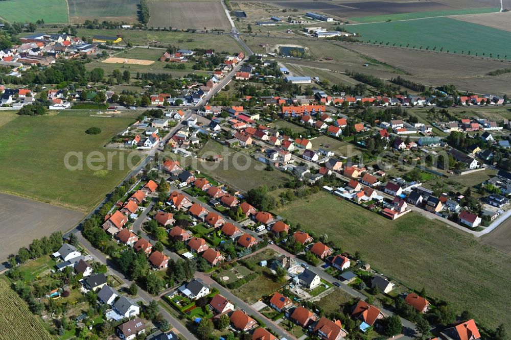 Aerial image Dannigkow - Town View of the streets and houses of the residential areas in Dannigkow in the state Saxony-Anhalt, Germany