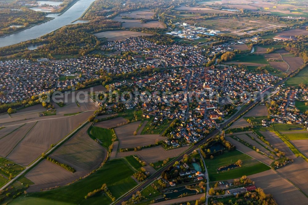 Drusenheim from above - Town View of the streets and houses of the residential areas in Drusenheim in Grand Est, France