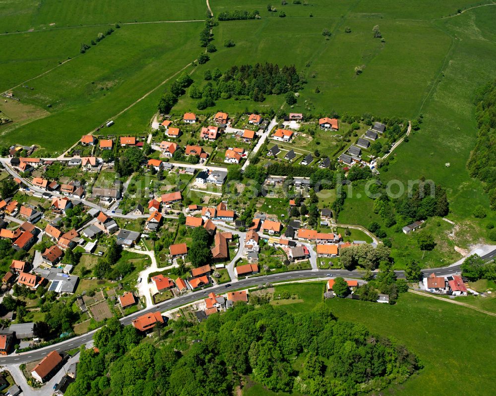 Elbingerode (Harz) from the bird's eye view: Town View of the streets and houses of the residential areas in Elbingerode (Harz) in the state Saxony-Anhalt, Germany