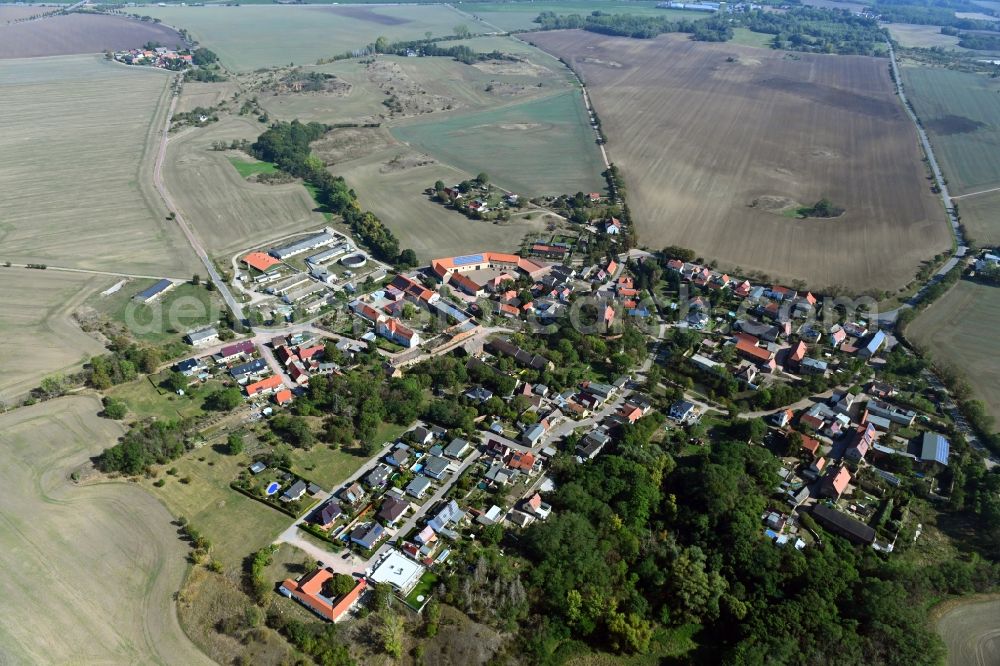 Gimritz from the bird's eye view: Town View of the streets and houses of the residential areas in Gimritz in the state Saxony-Anhalt, Germany