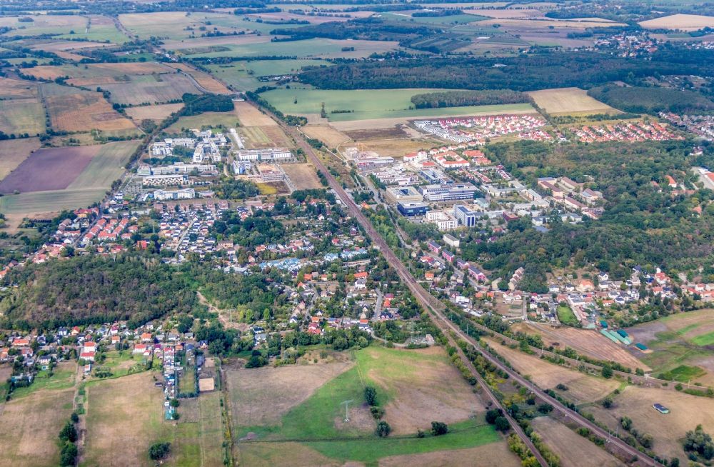 Aerial photograph Potsdam - Town View of the streets and houses in Golm in the state Brandenburg, Germany