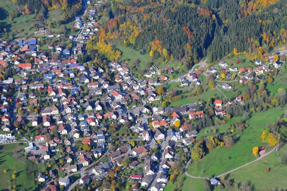 Aerial photograph Hasel - Town View of the streets and houses of the residential areas in Hasel in the state Baden-Wuerttemberg, Germany