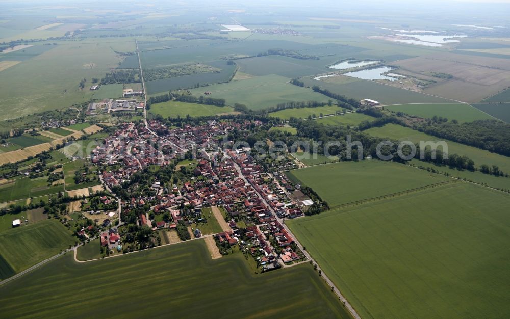 Aerial image Haßleben - Town View of the streets and houses in Hassleben in the state Thuringia, Germany