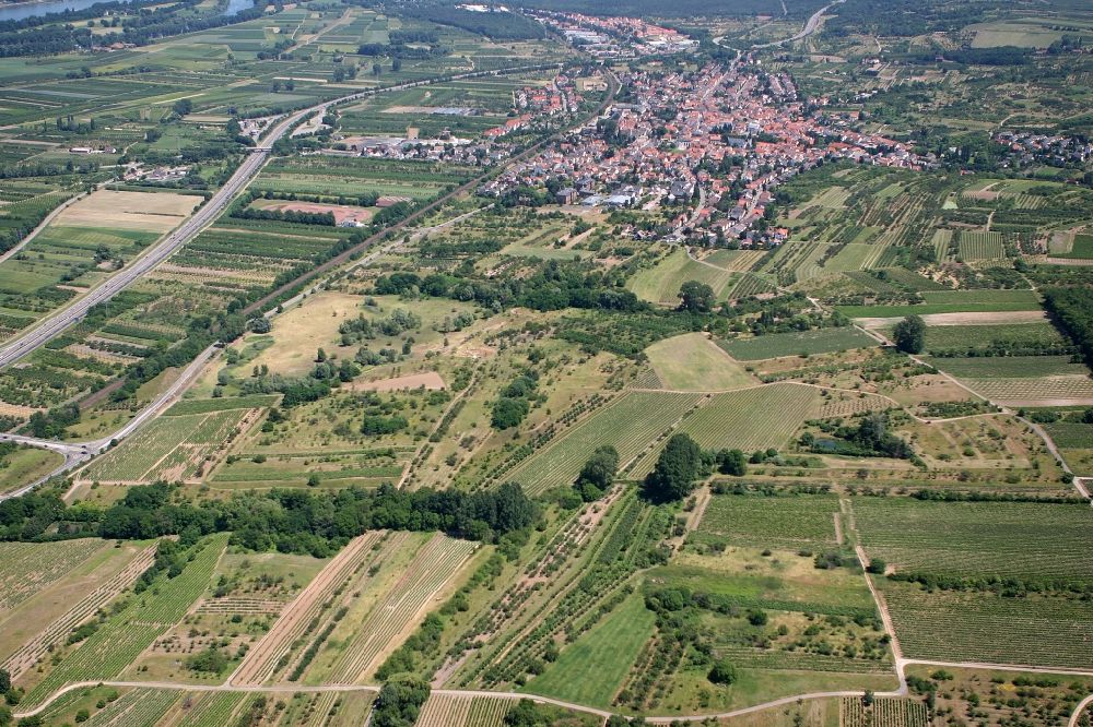 Aerial photograph Heidesheim am Rhein - View of the town of Heidesheim am Rhein in the state of Rhineland-Palatinate. Heidesheim is one of the largest boroughs of the Rheinhessen region and is located on the southern Rhine riverbank - the Rhine knee - in the district of Mainz-Bingen. View from the West