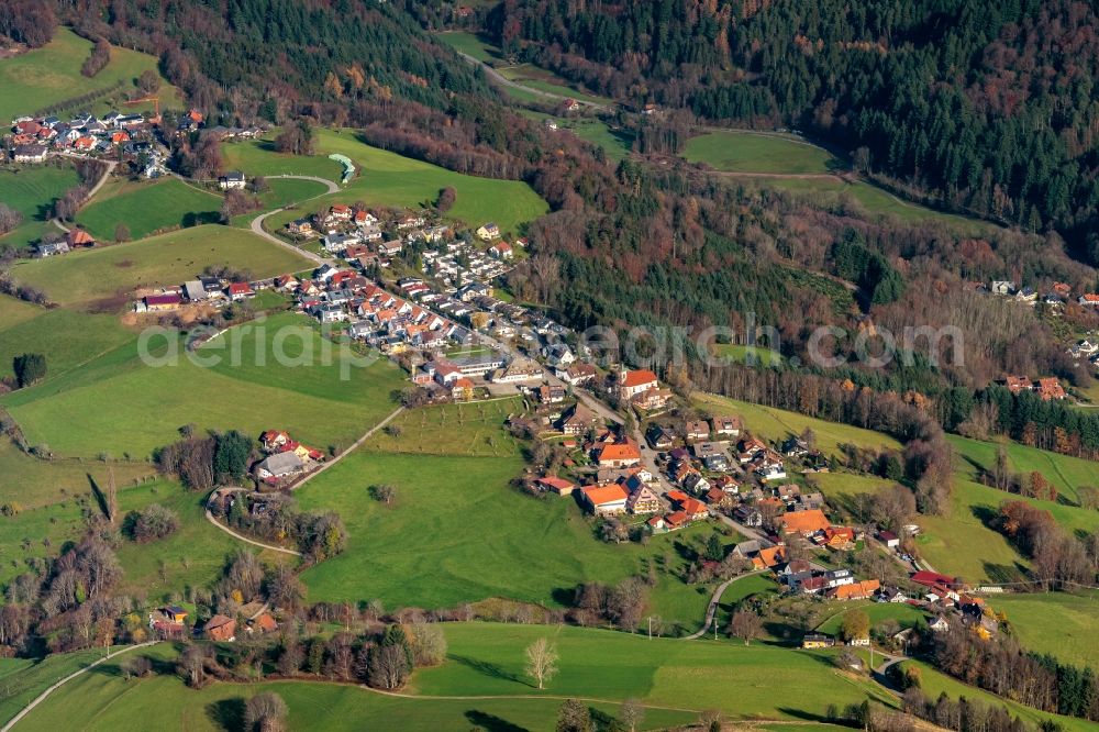 Aerial photograph Horben - Town View of the streets and houses of the residential areas in Horben in the state Baden-Wurttemberg, Germany