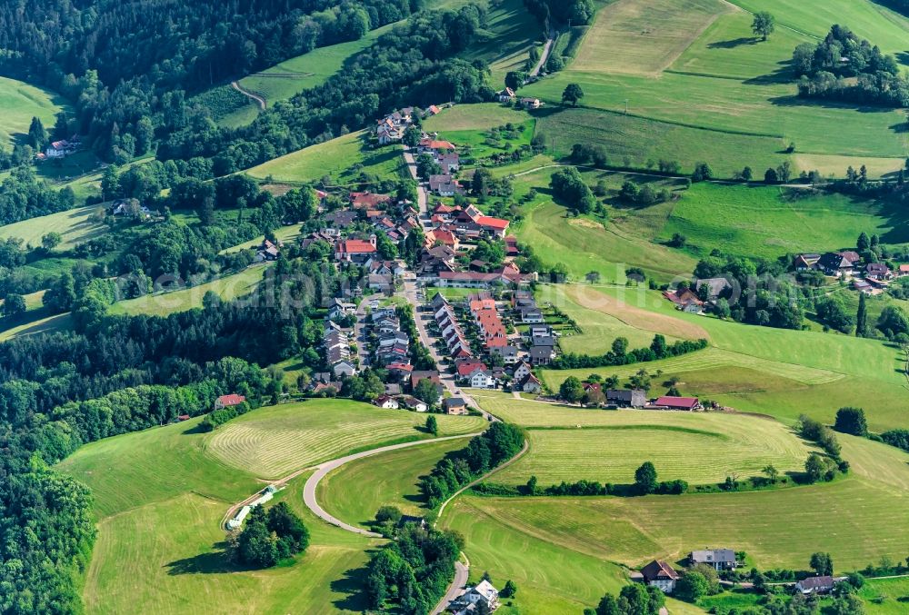 Horben from the bird's eye view: Town View of the streets and houses of the residential areas in Horben in the state Baden-Wuerttemberg, Germany