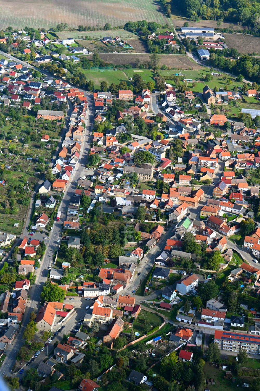 Aerial photograph Hornhausen - Town View of the streets and houses of the residential areas in Hornhausen in the state Saxony-Anhalt, Germany