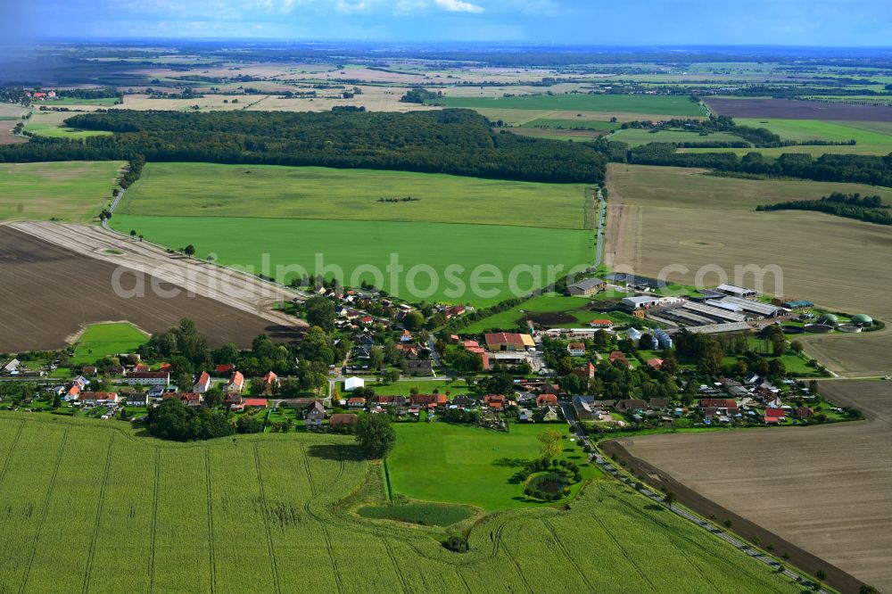 Aerial photograph Lindetal - Town View of the streets and houses of the residential areas on street Dorfstrasse in the district Dewitz in Lindetal in the state Mecklenburg - Western Pomerania, Germany