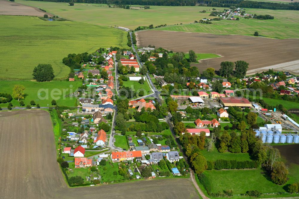 Aerial image Lindetal - Town View of the streets and houses of the residential areas on street Dorfstrasse in the district Dewitz in Lindetal in the state Mecklenburg - Western Pomerania, Germany