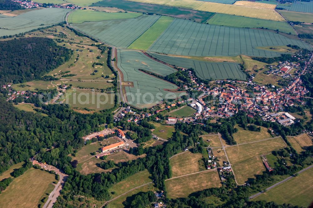 Aerial photograph Meisdorf - Town View of the streets and houses of the residential areas in Meisdorf in the state Saxony-Anhalt, Germany