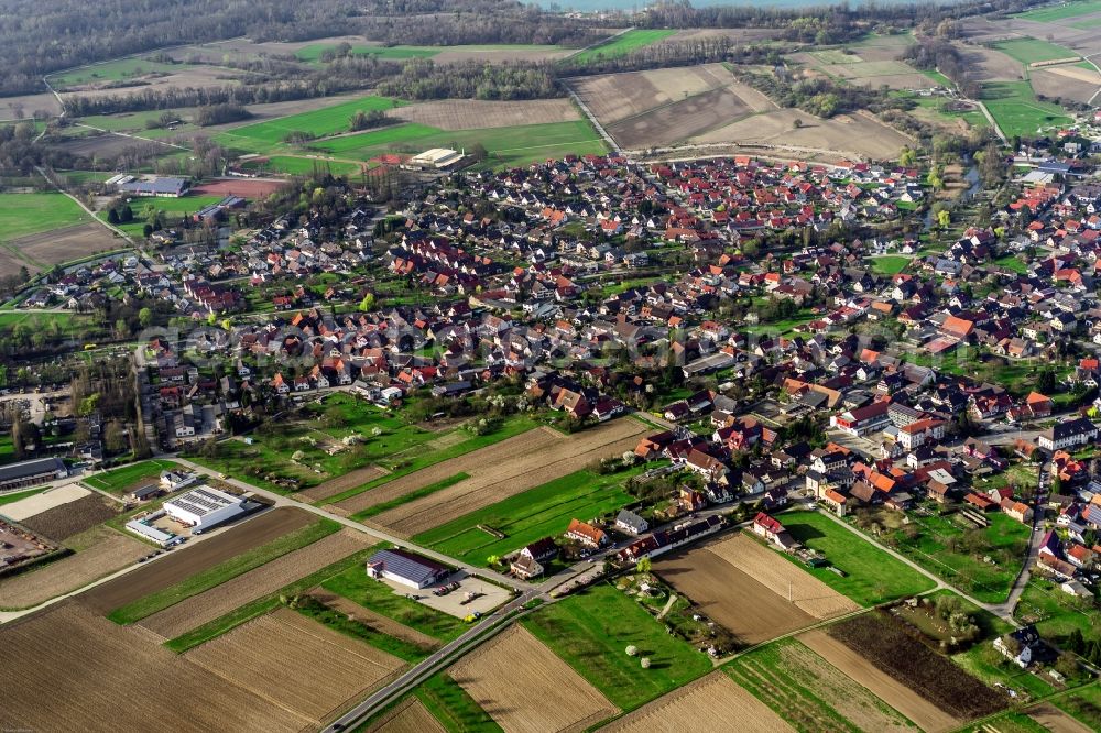 Meißenheim from the bird's eye view: Town View of the streets and houses of the residential areas in Meissenheim in the state Baden-Wuerttemberg