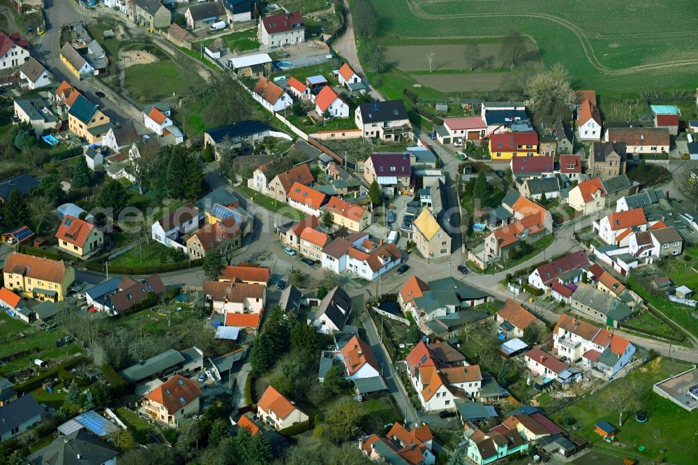 Aerial image Nehlitz - Town View of the streets and houses of the residential areas in Nehlitz in the state Saxony-Anhalt, Germany