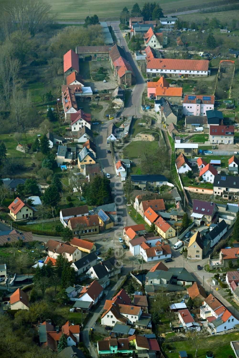 Aerial photograph Nehlitz - Town View of the streets and houses of the residential areas in Nehlitz in the state Saxony-Anhalt, Germany