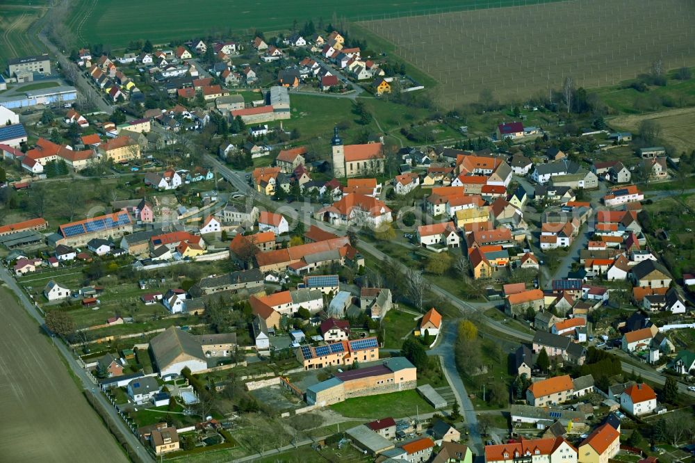 Nemsdorf-Göhrendorf from the bird's eye view: Town View of the streets and houses of the residential areas in Nemsdorf-Goehrendorf in the state Saxony-Anhalt, Germany