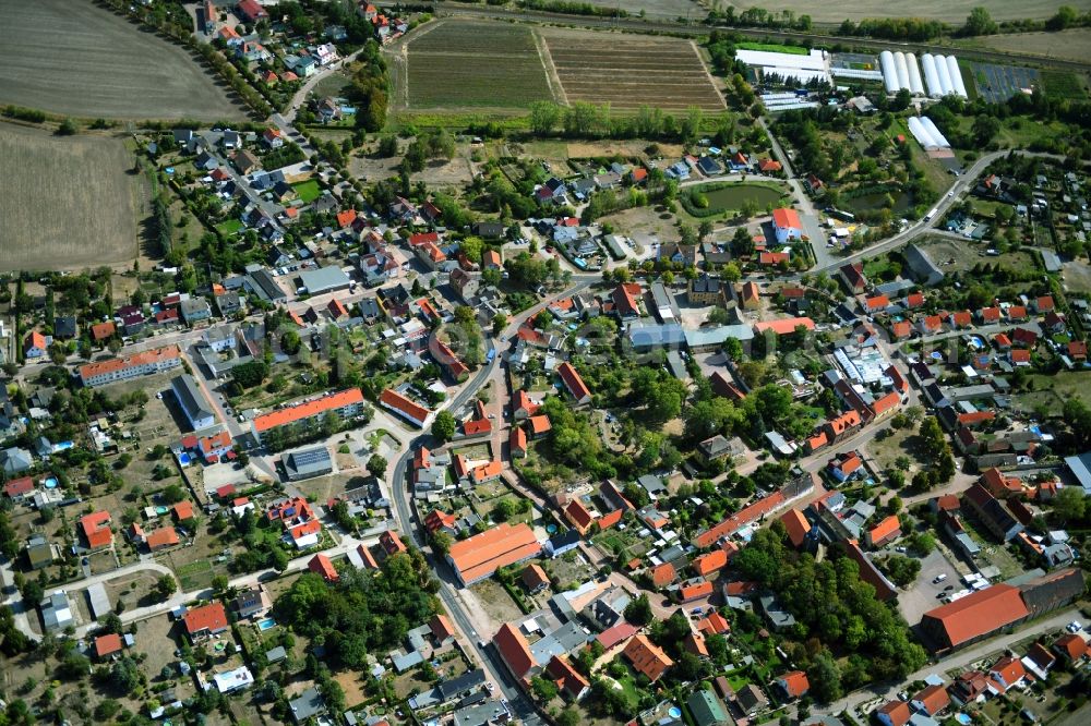 Aerial photograph Niemberg - Town View of the streets and houses of the residential areas in Niemberg in the state Saxony-Anhalt, Germany
