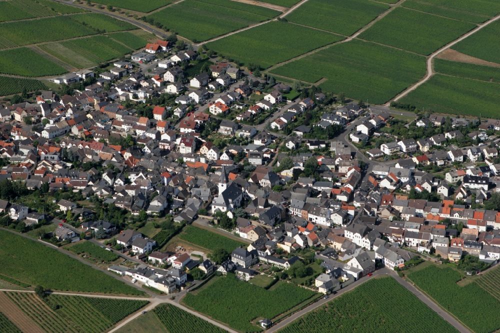 Oestrich-Winkel from above - Local view of Oestrich-Winkel in the state of Hesse
