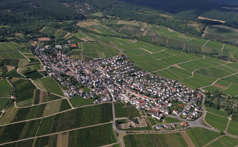 Aerial image Oestrich-Winkel - Local view of Oestrich-Winkel in the state of Hesse