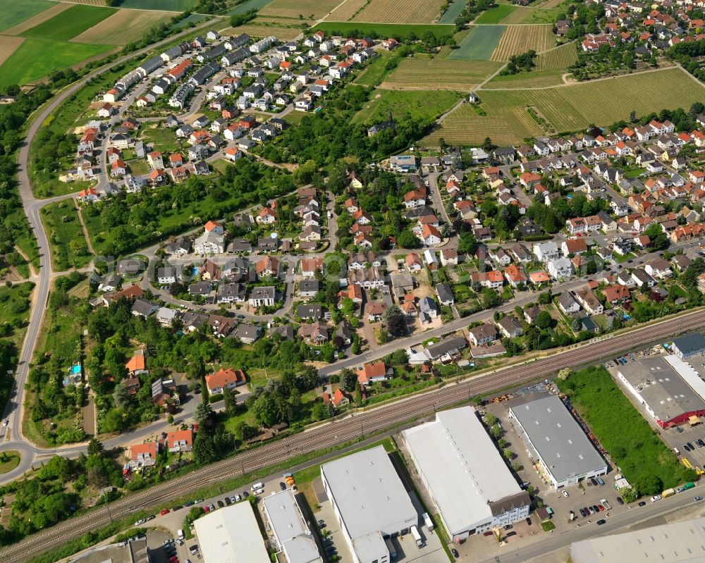 Aerial photograph Bodenheim - View of the borough of Bodenheim in the state of Rhineland-Palatinate. The official tourist resort consists of several wine-growing estates and agricultural businesses as well as symmetrical residential areas. The borough is located in the Rheinhessen region
