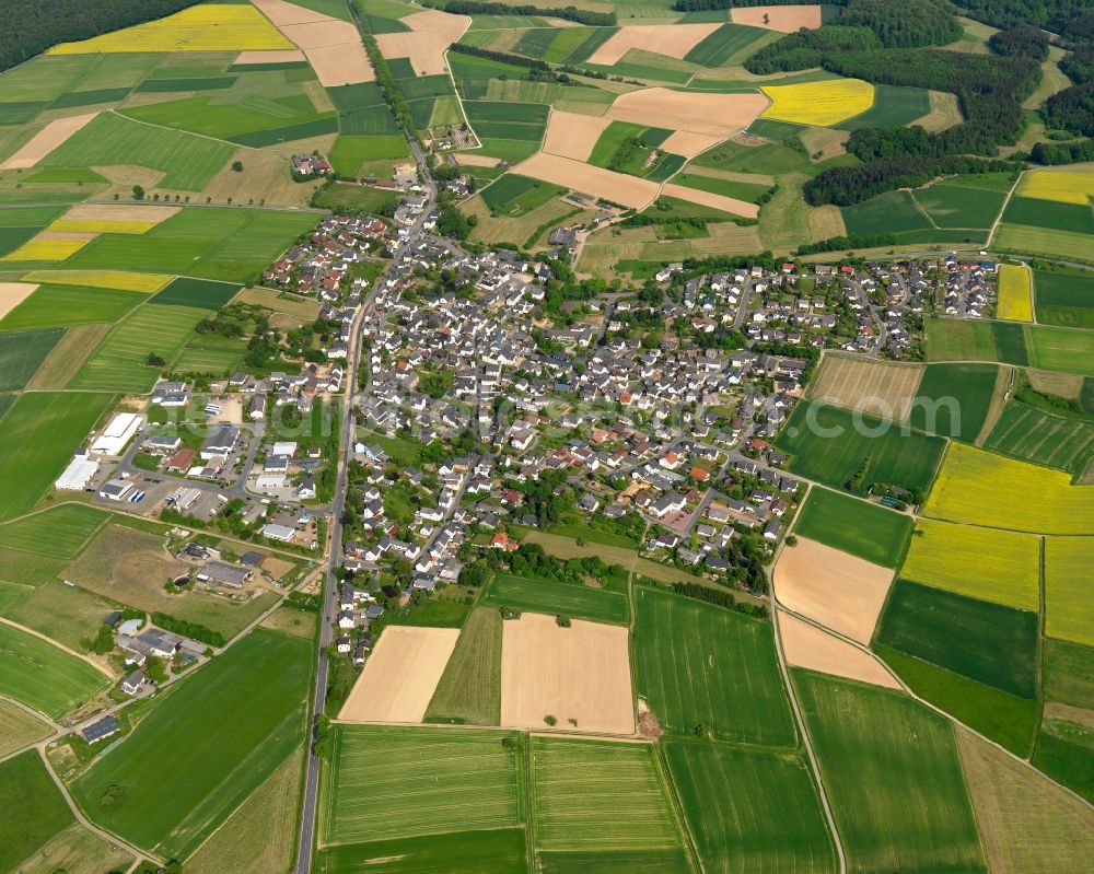 Holzhausen an der Haide from the bird's eye view: View of the borough of Holzhausen an der Haide in the state of Rhineland-Palatinate. The borough and municipiality is located in the county district of Rhine-Lahn, in the Western Hintertaunus mountain region. The agricultural village consists of residential areas and is surrounded by rapeseed fields and meadows. It is located on the federal highways B260 and B274