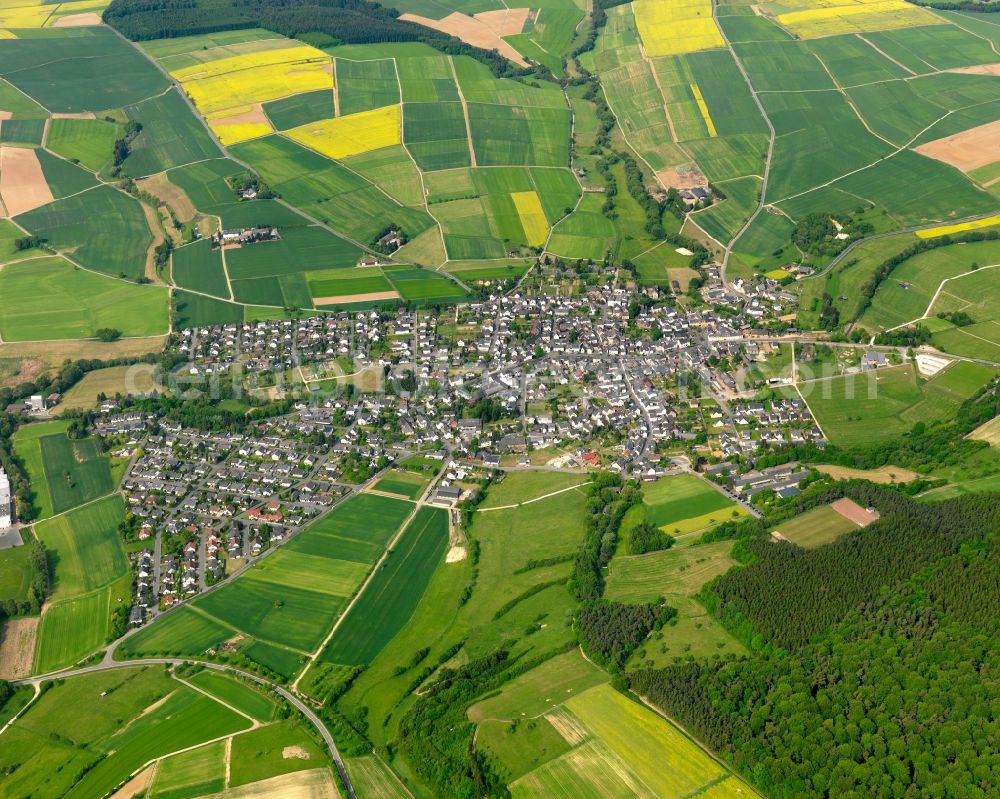 Miehlen from the bird's eye view: View of the borough of Miehlen in the state of Rhineland-Palatinate. The borough and municipiality is located in the county district of Rhine-Lahn, in the Western Hintertaunus mountain region. The agricultural village consists of residential areas and is surrounded by rapeseed fields and meadows