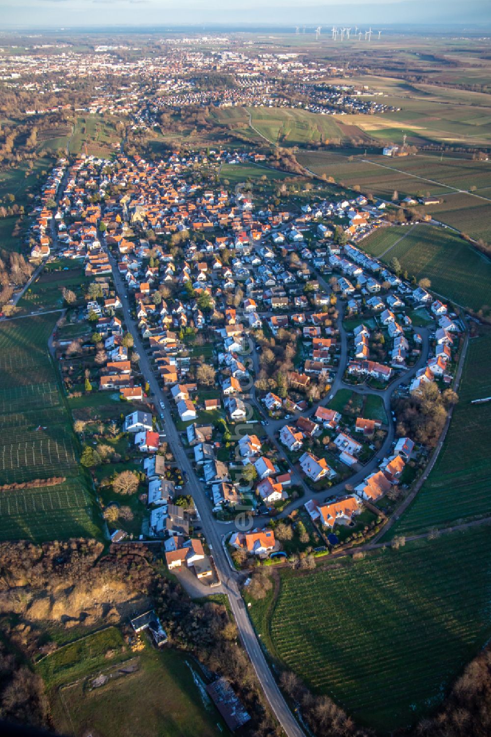 Landau in der Pfalz from the bird's eye view: Town View of the streets and houses of the residential areas in the district Arzheim in Landau in der Pfalz in the state Rhineland-Palatinate