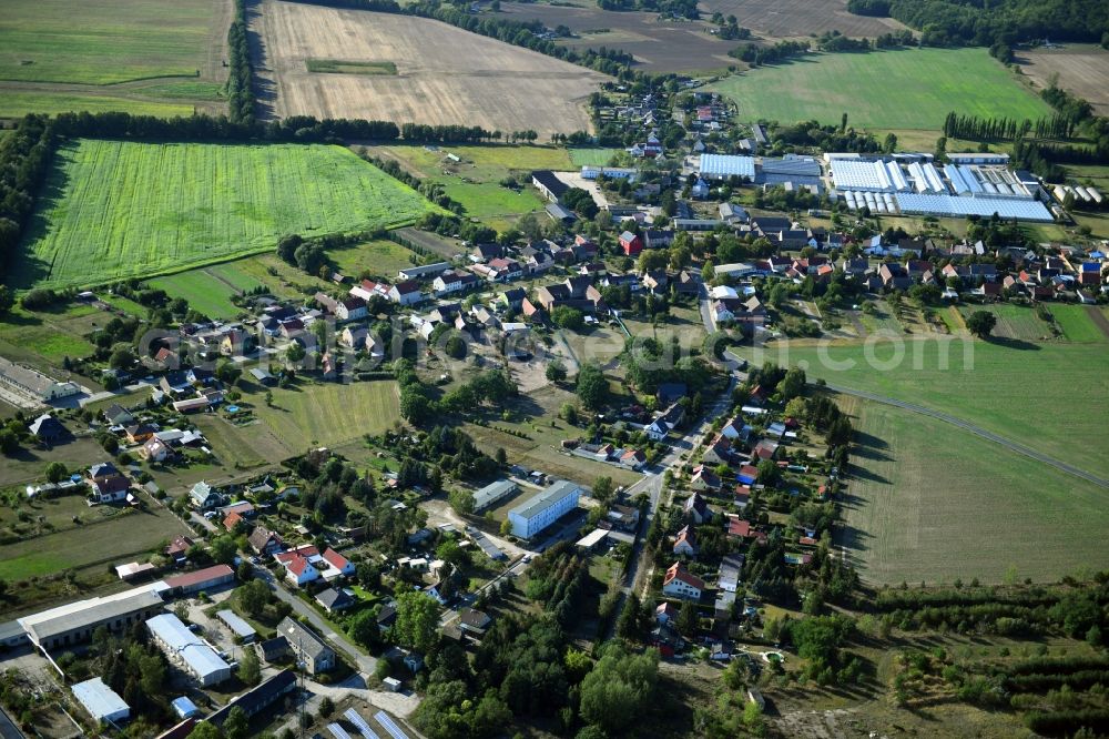 Nuthe-Urstromtal from the bird's eye view: Town View of the streets and houses of the residential areas in the district Felgentreu in Nuthe-Urstromtal in the state Brandenburg, Germany
