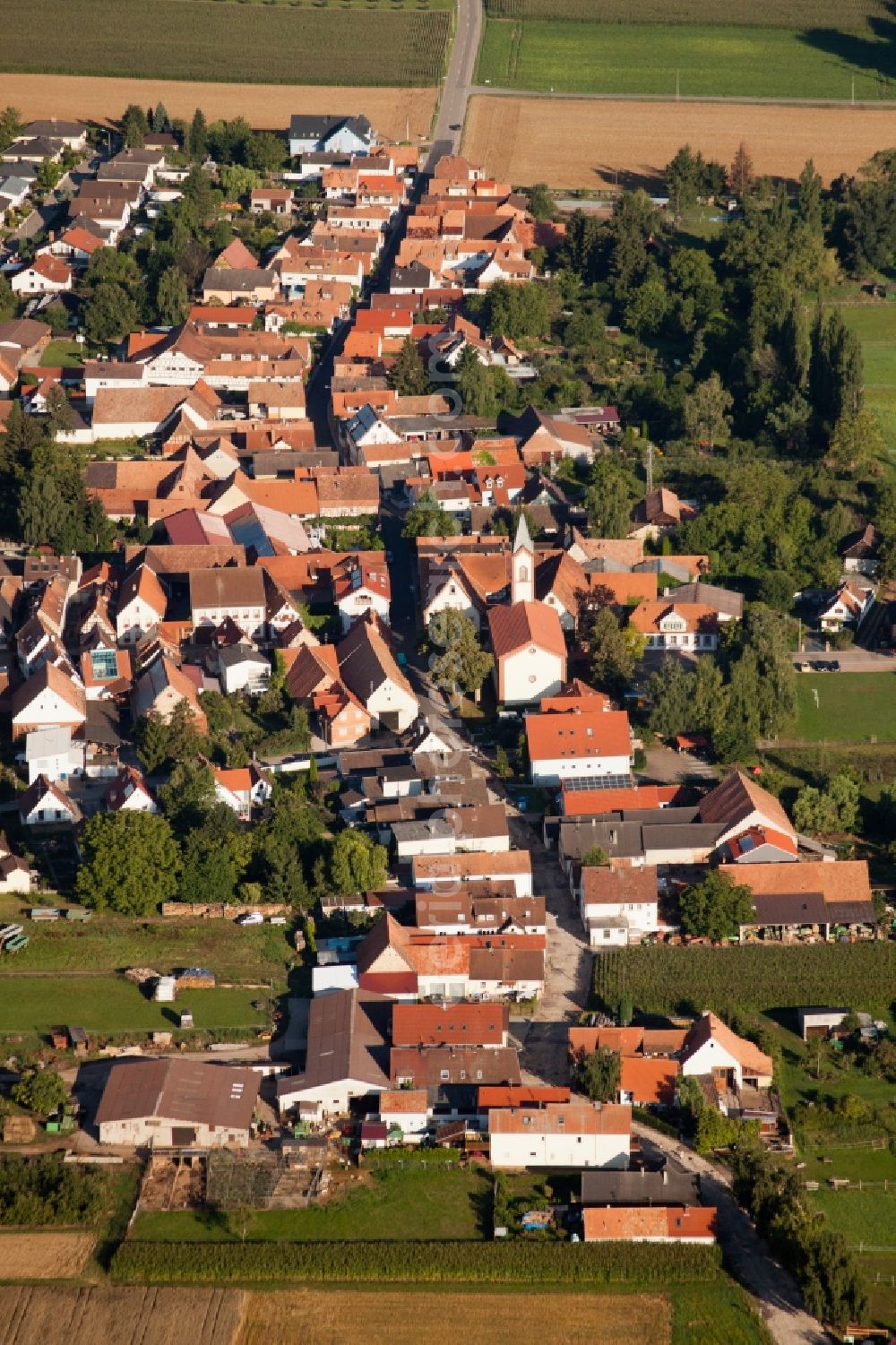 Aerial image Billigheim-Ingenheim - Town View of the streets and houses of the residential areas in the district Muehlhofen in Billigheim-Ingenheim in the state Rhineland-Palatinate