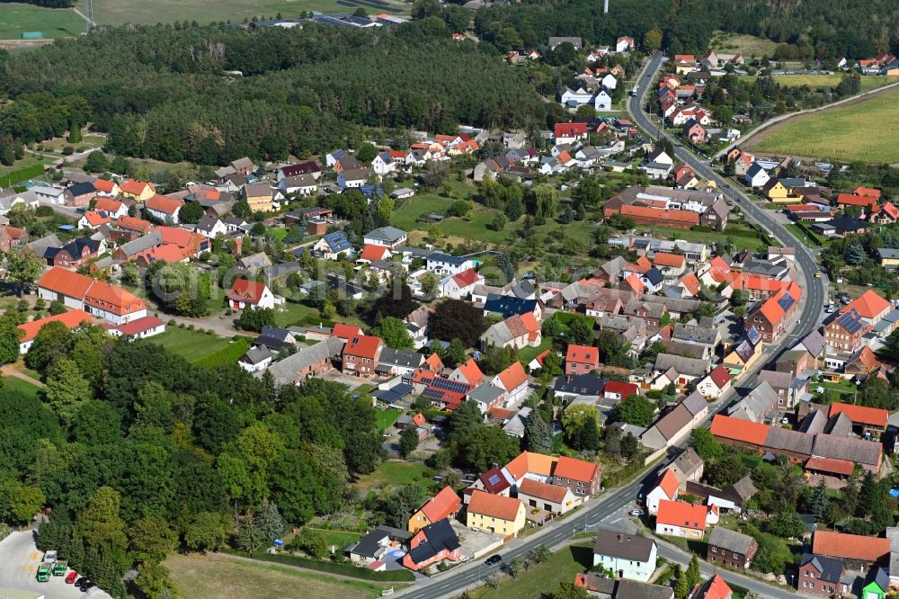 Radis from above - Town View of the streets and houses of the residential areas in Radis in the state Saxony-Anhalt, Germany