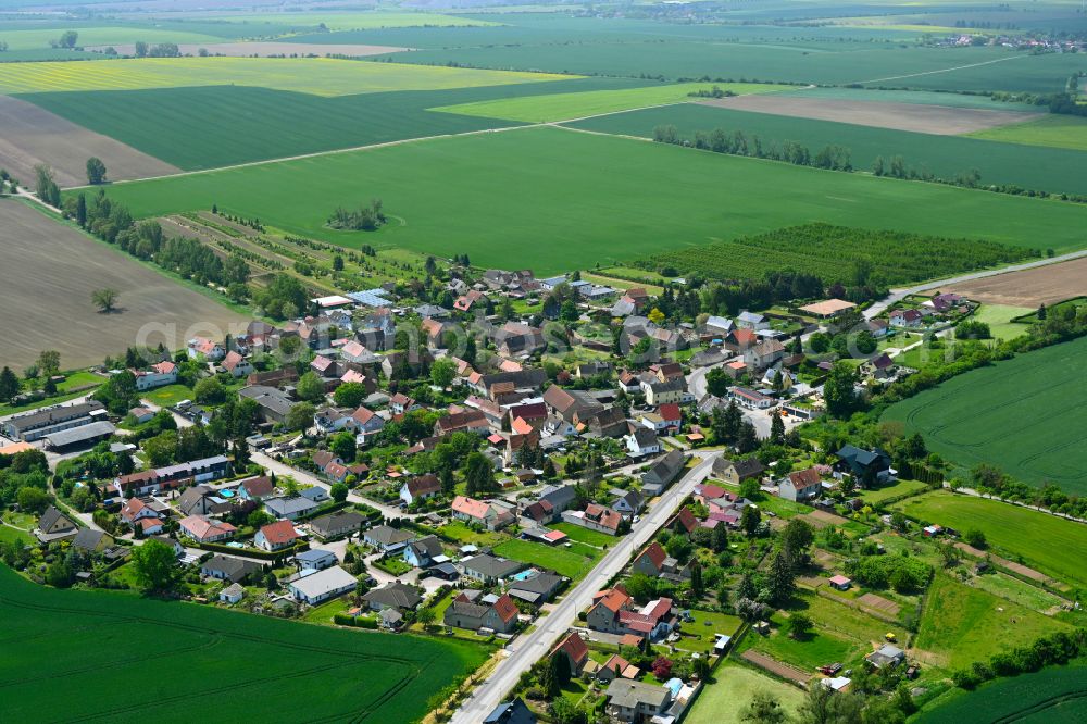Aerial image Allstedt - Village view on the edge of agricultural fields and land in Allstedt in the state Saxony-Anhalt, Germany