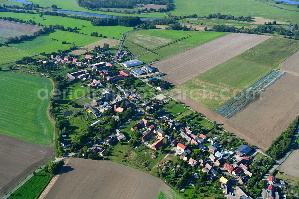 Dabrun from the bird's eye view: Village view on the edge of agricultural fields and land in Dabrun in the state Saxony-Anhalt, Germany