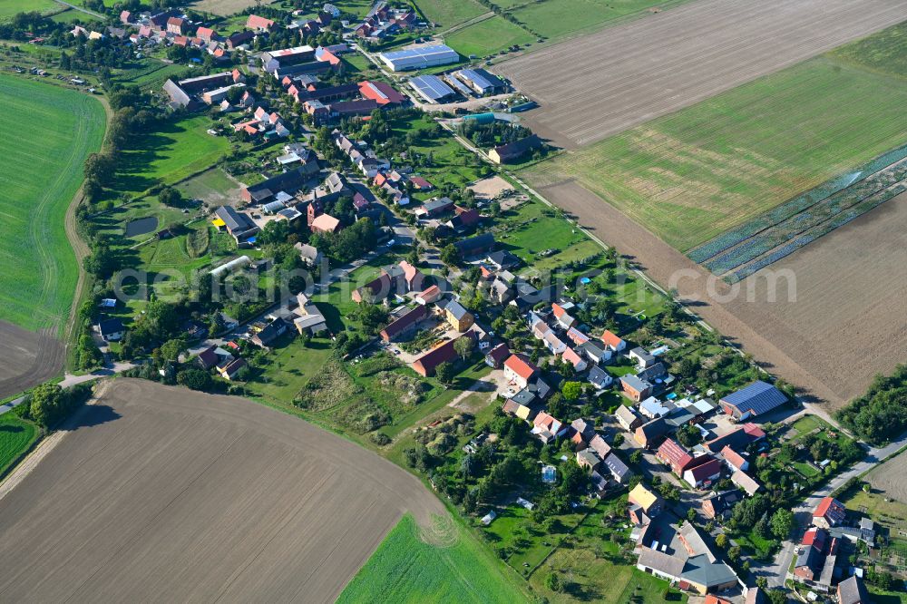 Aerial image Dabrun - Village view on the edge of agricultural fields and land in Dabrun in the state Saxony-Anhalt, Germany