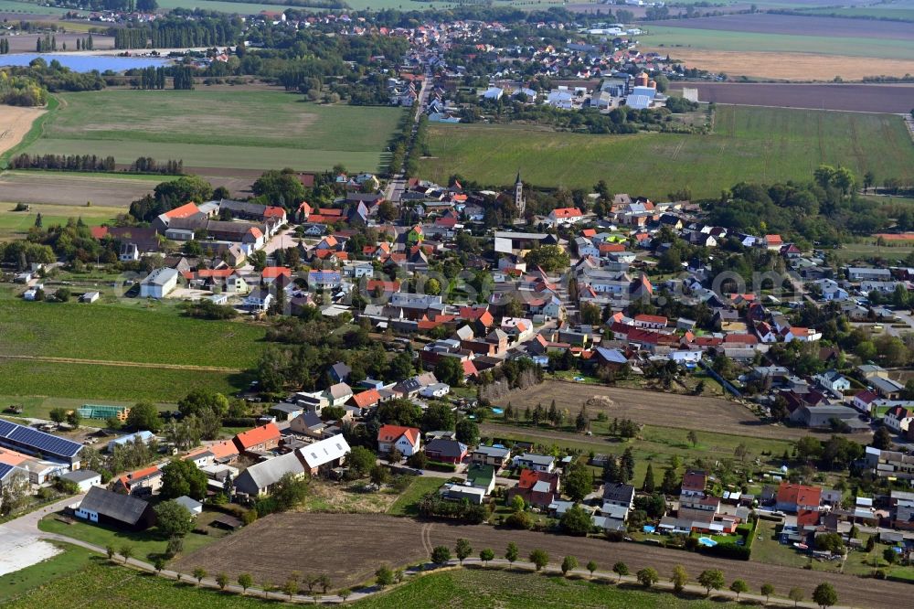 Drosa from the bird's eye view: Village view on the edge of agricultural fields and land in Drosa in the state Saxony-Anhalt, Germany