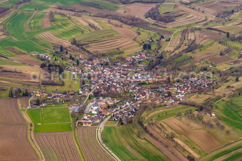Ettenheimweiler from the bird's eye view: Village view on the edge of agricultural fields and land in Ettenheimweiler in the state Baden-Wuerttemberg, Germany